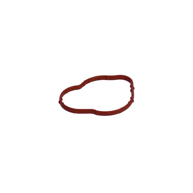 Garnitura Corp Termostat 100109