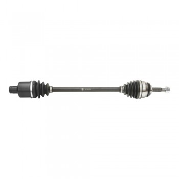 Planetara Dr. (Cu Abs) Adt.007