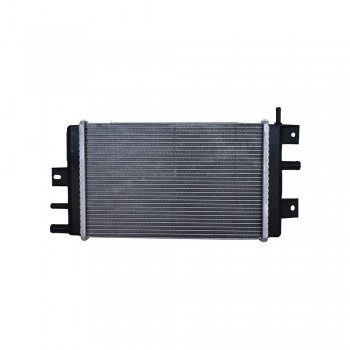 Radiator Racire Motor Th.01.252