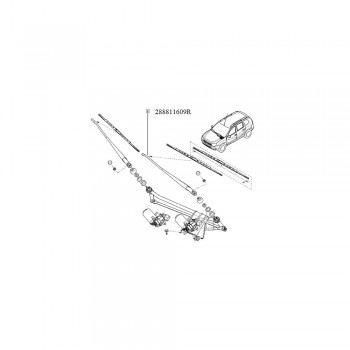 Brat Stergator Stg. Fata