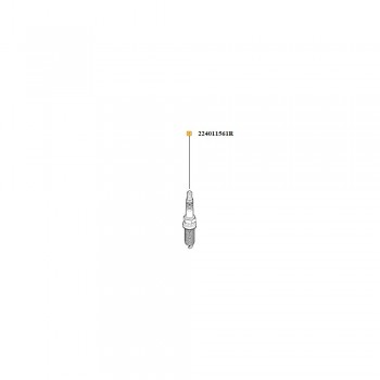 Bujie Scanteie 224011561R