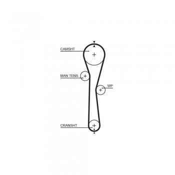 Gates - Curea Distributie 5577Xs