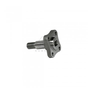 Butuc Roata Spate 30247