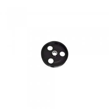 Fulie Pompa Servodirectie