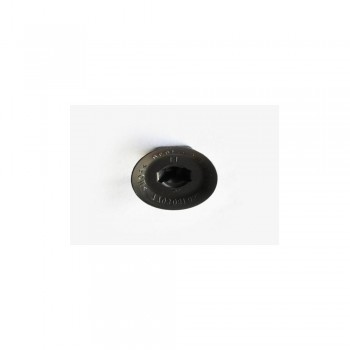 Clips Prindere Mocheta Portbagaj Set 10 Bc 30885