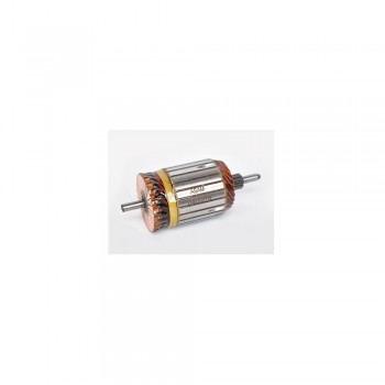Rotor Electromotor (Echipare Valeo) 33838