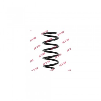 Arc Suspensie Spate Rg6455