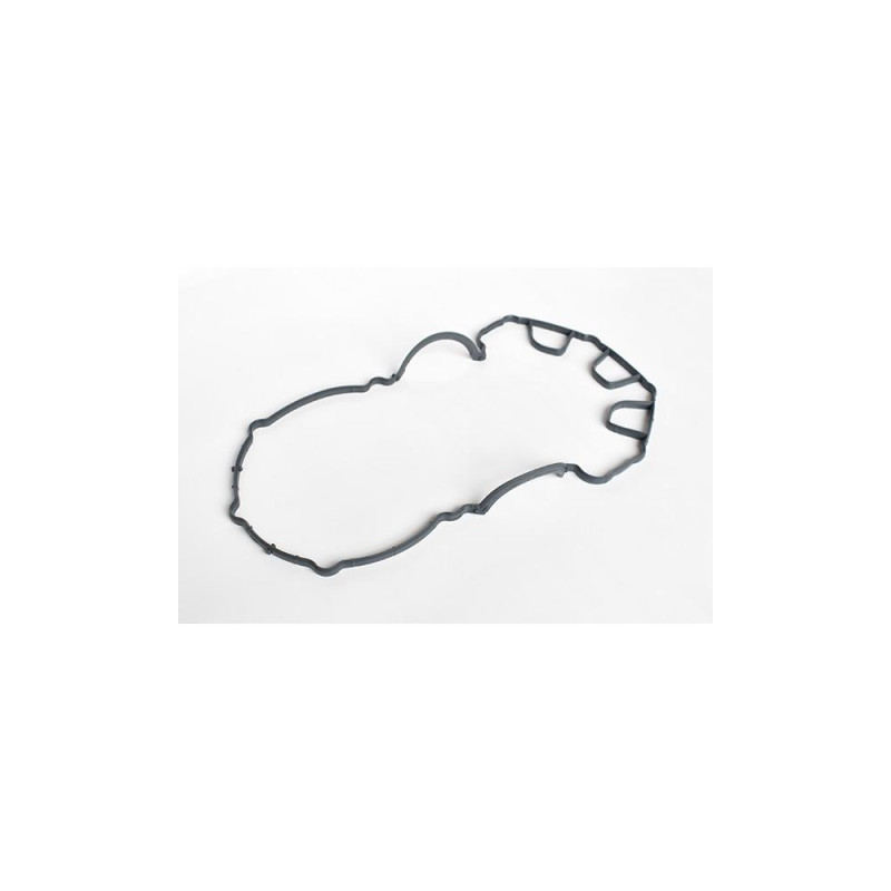 Garnitura Capac Supape 55041