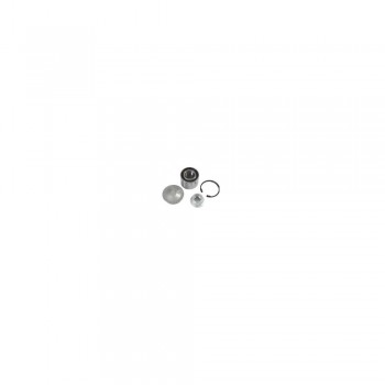 Kit Rulment Roata Spate 7701210004