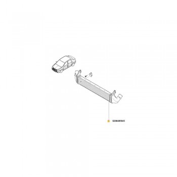 Radiator Intercooler (Lung) 8200409045