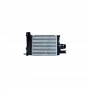 Radiator Intercooler Iv Captur 80261