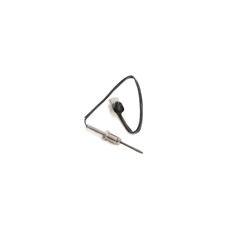 Senzor Temperatura Gaze Evacuare 96982