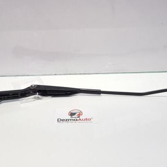 Brat Stergator Stg. Fata