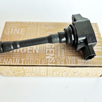 Bobina Inductie 224330360R