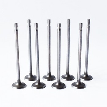 Set Supape Evacuare 7701473004